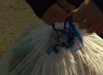 garbage